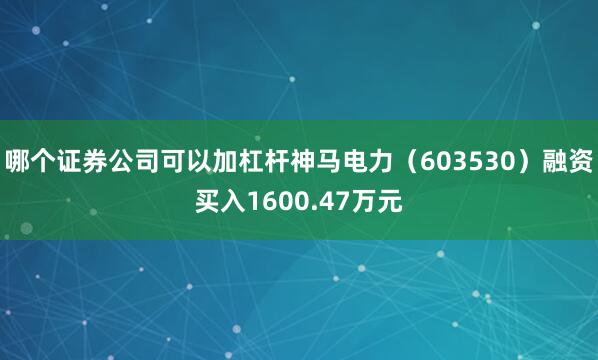 哪个证券公司可以加杠杆神马电力（603530）融资买入1600.47万元